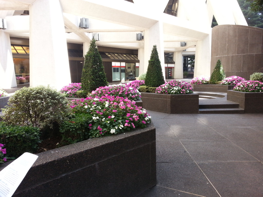 Plantings in front of Transamerica Building
