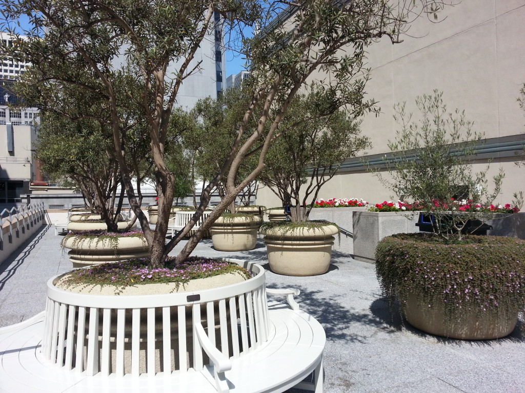 Roof Garden 456 Sansome Olives